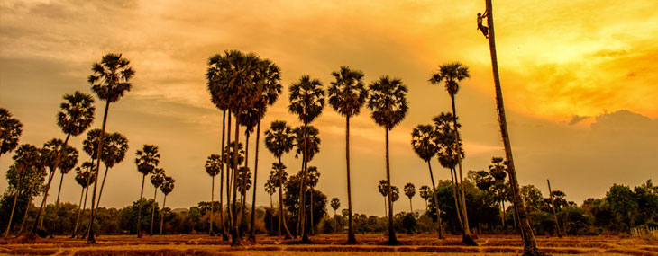 Cambodia Climate and Weather